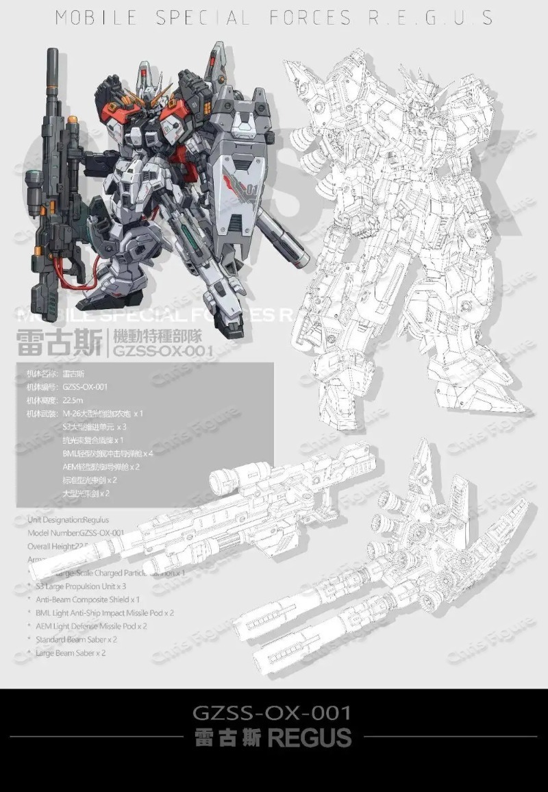 In Stock ZZA REGUS GZSS-OX-001 - Model Kit Regus reseña y precio