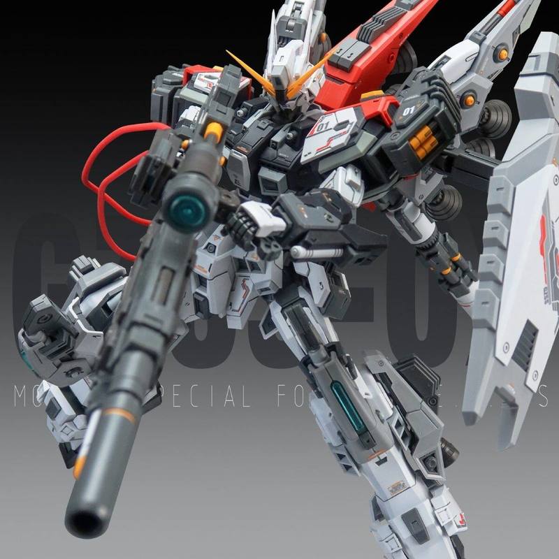 New IN STOCK ZZA GZSS-OX01 REG - Model Kit Regus reseña y precio