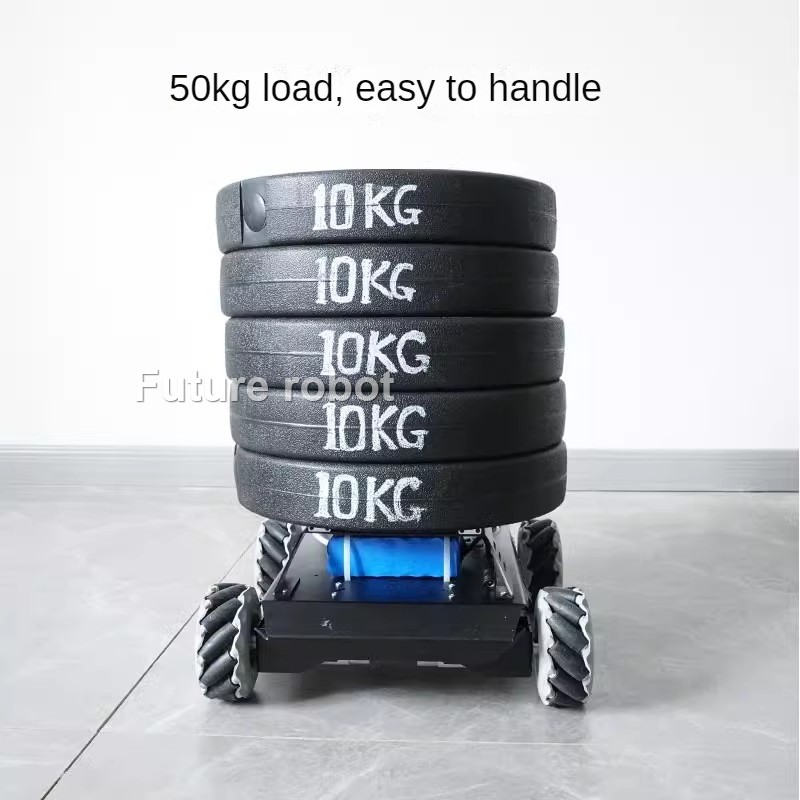 50Kg Load RC Tank Heavy Duty M - Model Kit Lancelot reseña y precio
