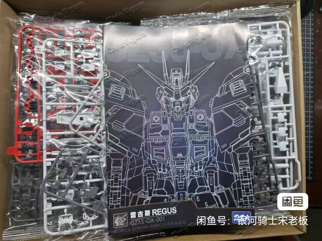 In Stock ZZA REGUS GZSS-OX-001 - Model Kit Regus reseña y precio